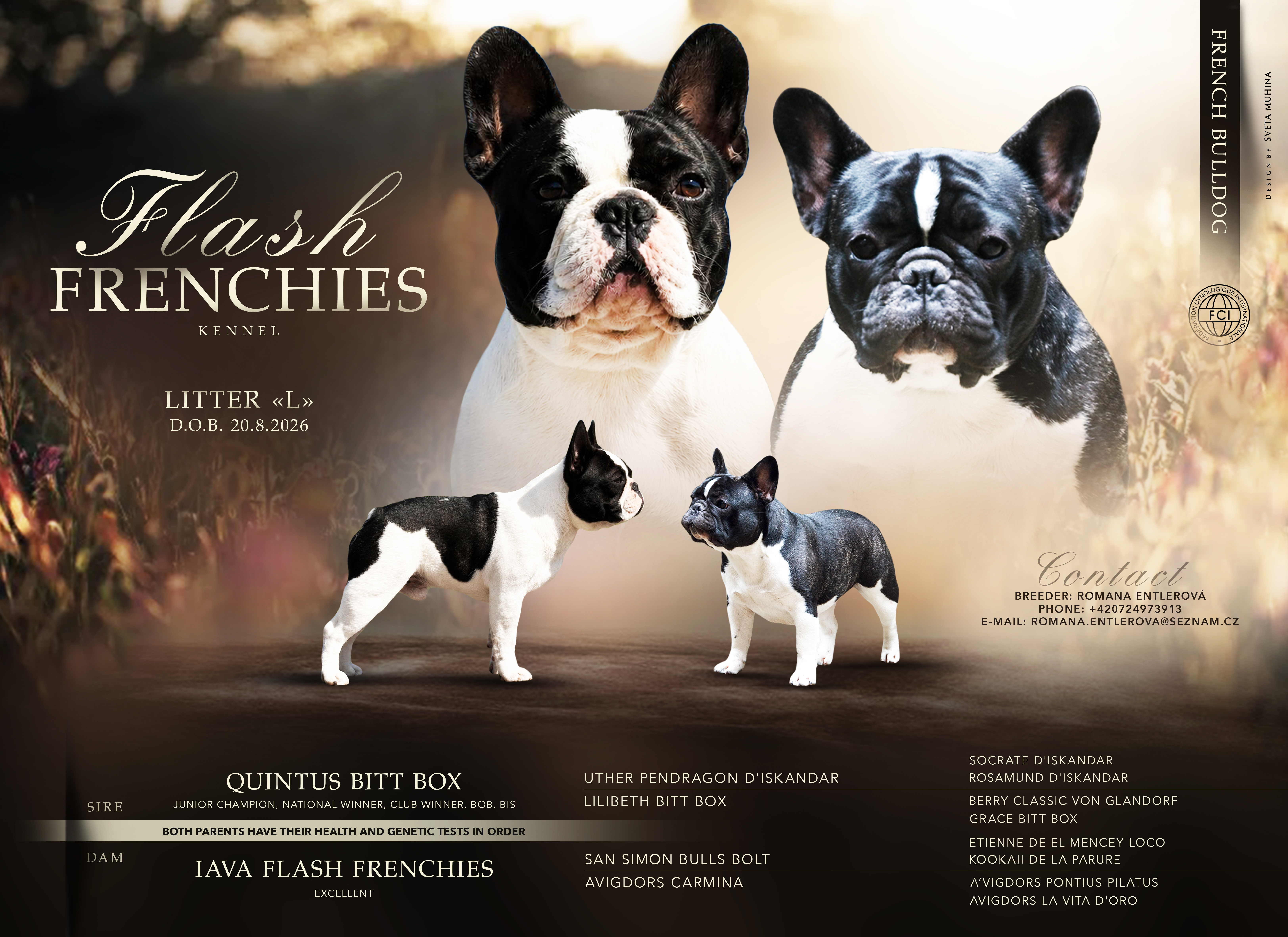 Litter L Flash Frenchies